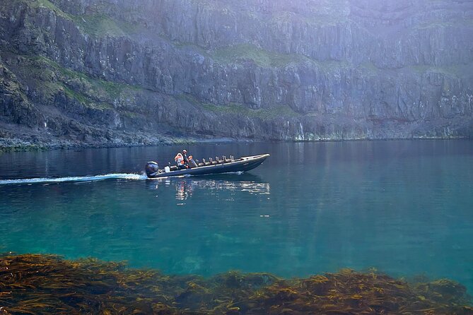 1 Hour Iceland Nature and Wildlife RIB Small Group Guided Safari - Key points to know before booking