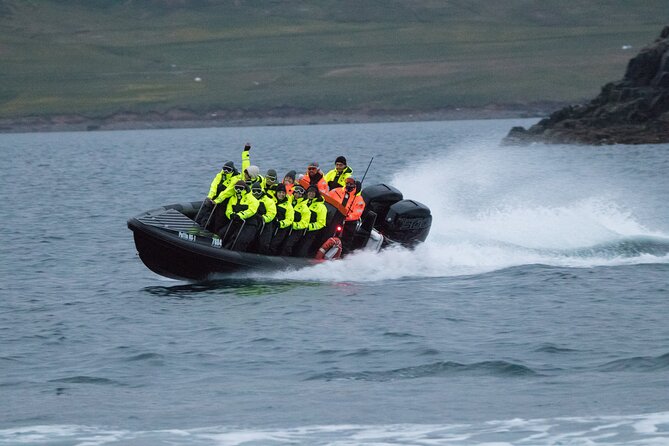 1 Hour Iceland Nature and Wildlife RIB Small Group Guided Safari - Seals, a waterfall, and possible whales