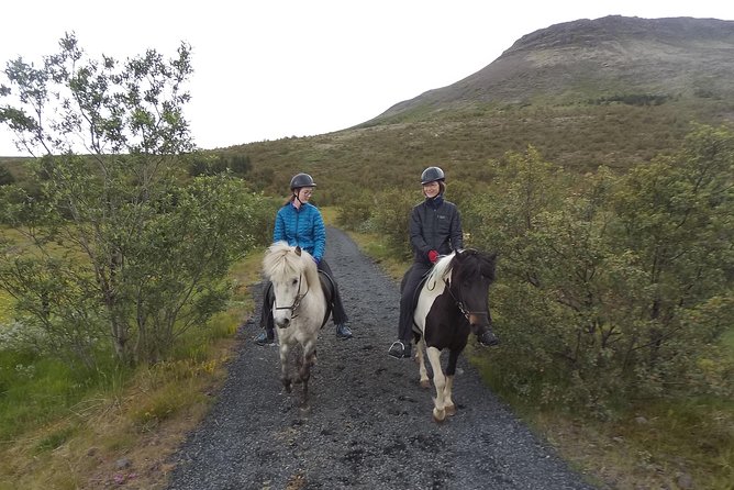 1+ hour Private Horse riding tour from Reykjavík/Mosfellsbær - Key points to know before booking