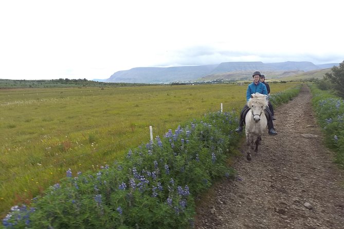 1+ hour Private Horse riding tour from Reykjavík/Mosfellsbær - Why Icelandic horses make this ride different