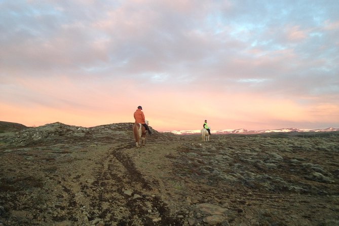 1+ hour Private Horse riding tour from Reykjavík/Mosfellsbær - The smooth tolt and Icelandic riding style