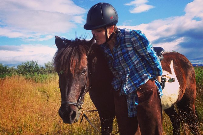 1+ hour Private Horse riding tour from Reykjavík/Mosfellsbær - Learning to ride before heading out