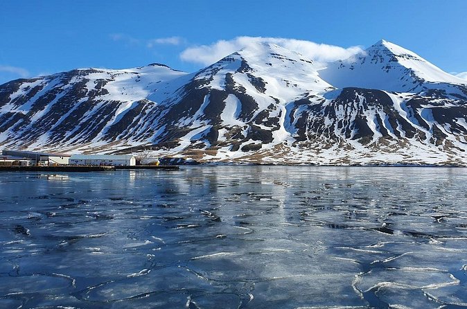1-Hour Siglufjörður Stroll - Who Will Get the Most From This Walk?