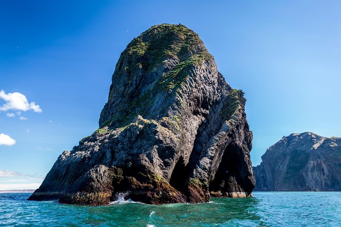 1-Hour Small Group Sightseeing Boat Tour in Vestmannaeyjar - A guide-led ride, not just a fast boat
