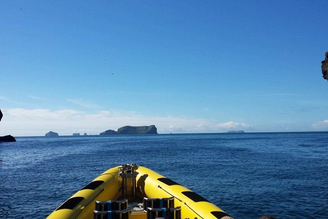1-Hour Small Group Sightseeing Boat Tour in Vestmannaeyjar - Is $169.31 a fair price for one hour?