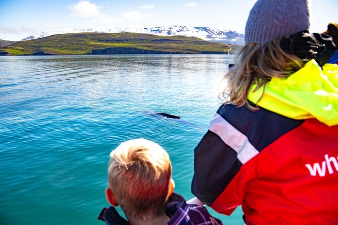 100% Whale Watching - Key points to know before you book