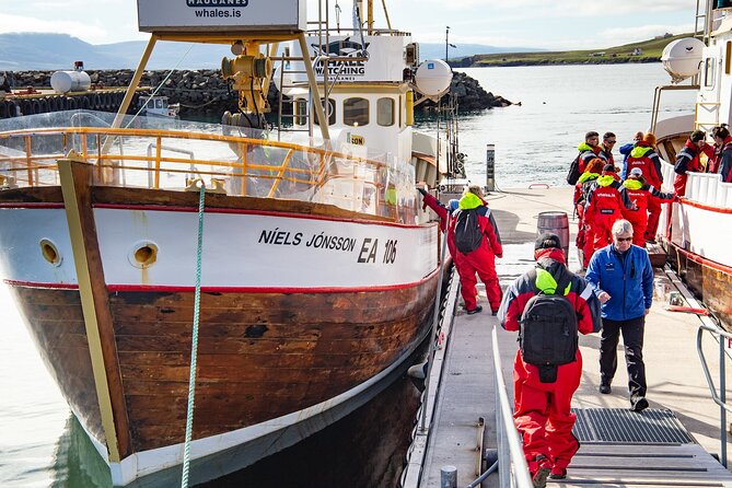 100% Whale Watching - Why Hauganes makes a good whale-watching base