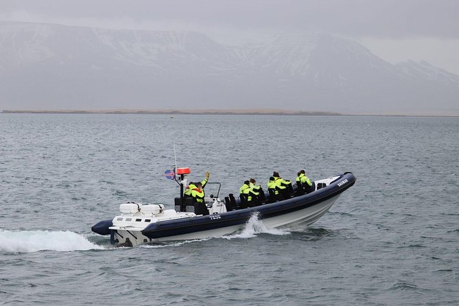 2-Hour RIB Boat Whale Watching Tour from Reykjavik - Key points at a glance