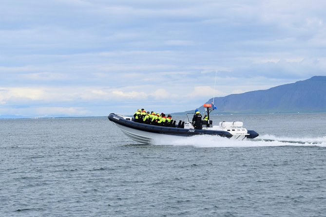 2-Hour RIB Boat Whale Watching Tour from Reykjavik - The guides make the difference