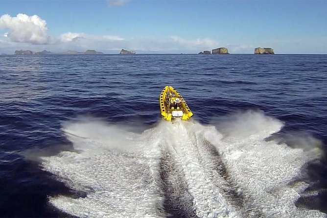 2 hour Round Trip in Vestmannaeyjar on a RIB Boat - Key points at a glance