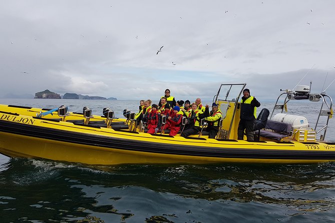 2 hour Round Trip in Vestmannaeyjar on a RIB Boat - Puffins, eider, and the busy bird cliffs