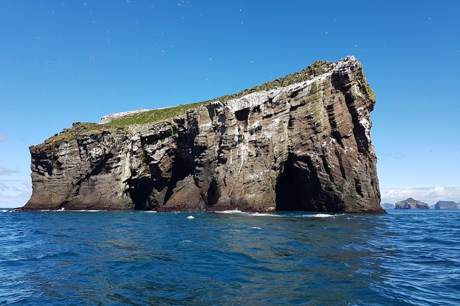 2 hour Round Trip in Vestmannaeyjar on a RIB Boat - Reaching the farther islands and Súlnasker