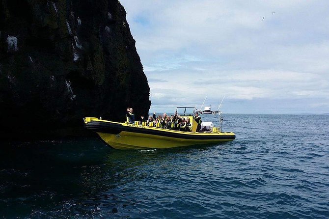 2 hour Round Trip in Vestmannaeyjar on a RIB Boat - Is $247.39 good value?