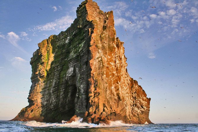 2 hour Round Trip in Vestmannaeyjar on a RIB Boat - Checking in at Tangagata 7