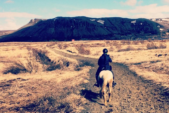 2 hours Private Horse Riding to Lake Hafravatn, Reykjavík - Mos - Key points to know before booking