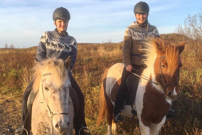 2 hours Private Horse Riding to Lake Hafravatn, Reykjavík - Mos - Meeting Icelandic horses at the Mosfellsbær stable