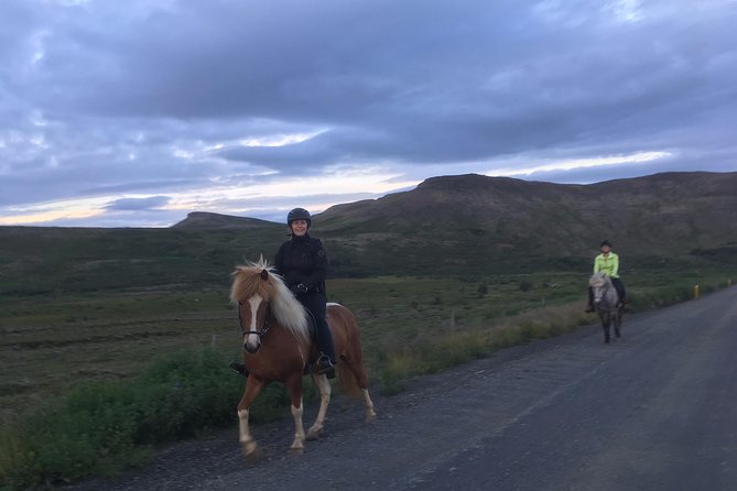 2 hours Private Horse Riding to Lake Hafravatn, Reykjavík - Mos - Why the horses matter as much as the view