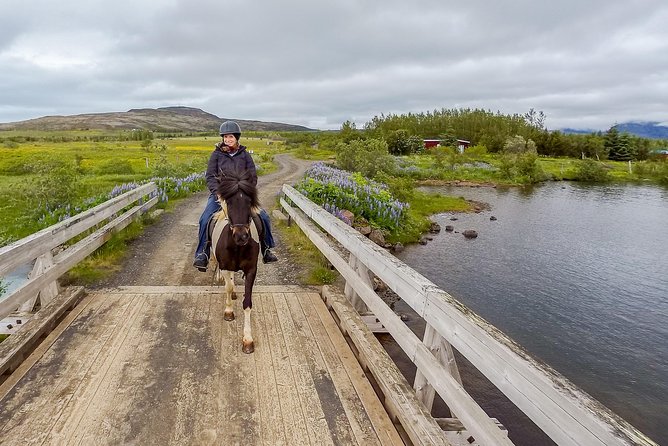 2 hours Private Horse Riding to Lake Hafravatn, Reykjavík - Mos - Clothing, fitness, and age rules