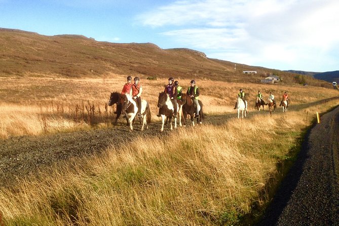 2 hours Private Horse Riding to Lake Hafravatn, Reykjavík - Mos - Is $210.26 per person fair?
