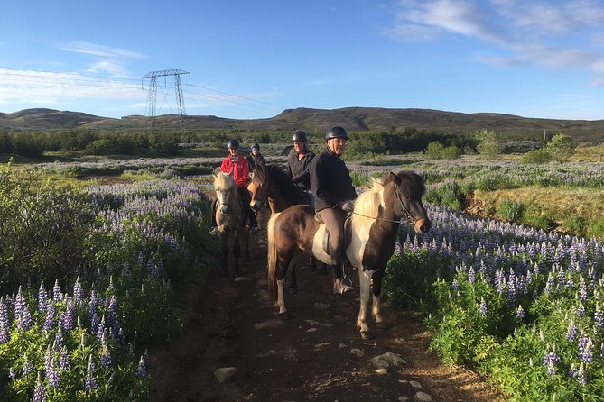 2 hours Private Horse Riding to Lake Hafravatn, Reykjavík - Mos - Riding toward Lake Hafravatn