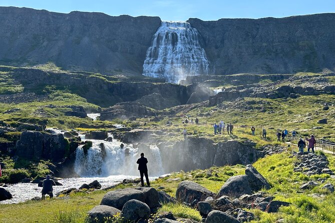3,5-Hour Sightseeing Tour To Dynjandi Waterfall - Is $84.65 good value?