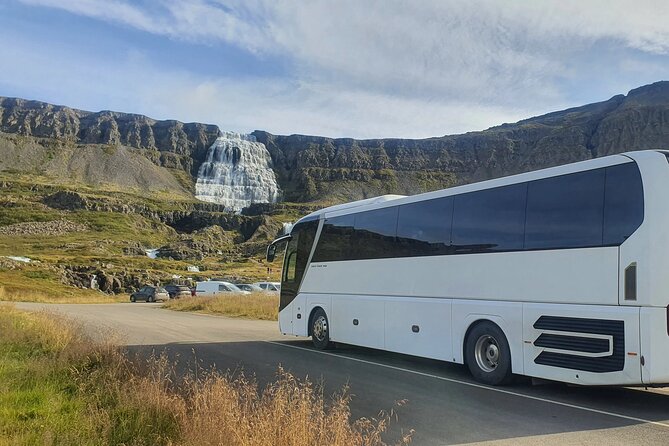 3,5-Hour Sightseeing Tour To Dynjandi Waterfall - Who should book this Westfjords excursion?