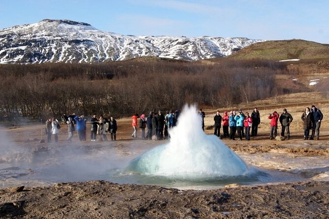 5-Days Land of Northern Lights Tour from Reykjavík - Friðheimar and the Golden Circle on Day 4