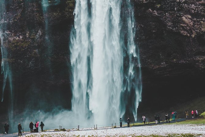 6-Day Minibus Tour Around Iceland from Reykjavik - Day 6: Whales from Hauganes and the road south