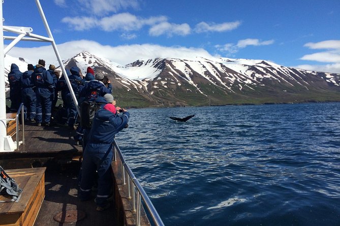 7-Day Complete Iceland: South Coast, Golden Circle, Akureyri & Snaefellsnes - Day four: volcanic ground around Lake Mývatn