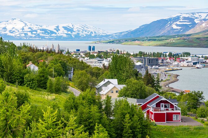 7-Day Small Group Journey Around Iceland - Day four: the quiet turn through the Eastfjords