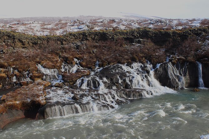 8 Day Winter Circle Tour, Ring Route of Iceland with Snæfellsnes Peninsula - Day 6: Akureyri, Hauganes, and whales in Eyjafjörður