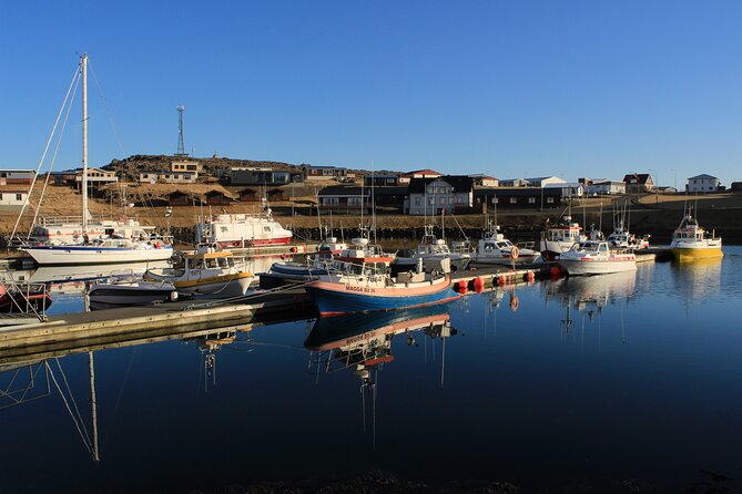 8 Day Winter Circle Tour, Ring Route of Iceland with Snæfellsnes Peninsula - Day 1: Þingvellir, Gullfoss, and the original geyser country