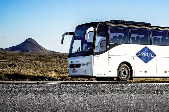 Airport Express Shared Arrival Transfer from Keflavik Airport to Reykjavik Hotels - Price and Value at $40.64 Per Person