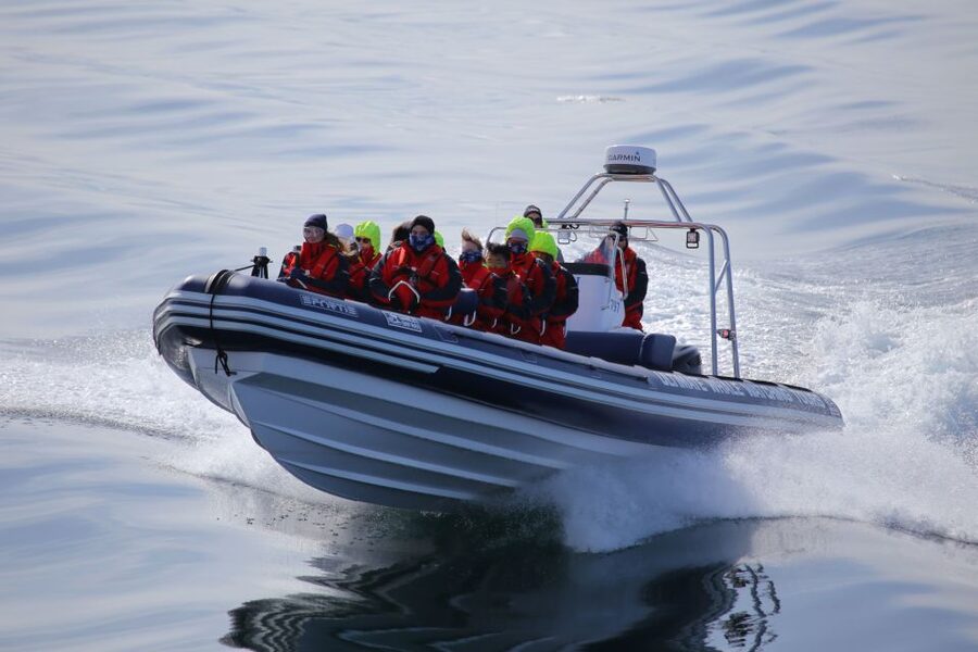 Akureyri: 2-Hour Whale Watching Express by RIB Speedboat - What a two-hour itinerary really gives you