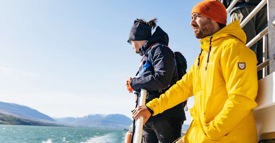 Akureyri: 3-Hour Classic Whale Watching Tour by Ship - Key points to know before you book