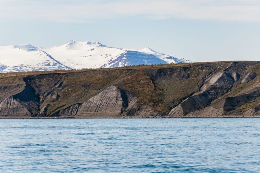 Akureyri: 3-Hour Classic Whale Watching Tour by Ship - Guides, commentary, and the onboard atmosphere