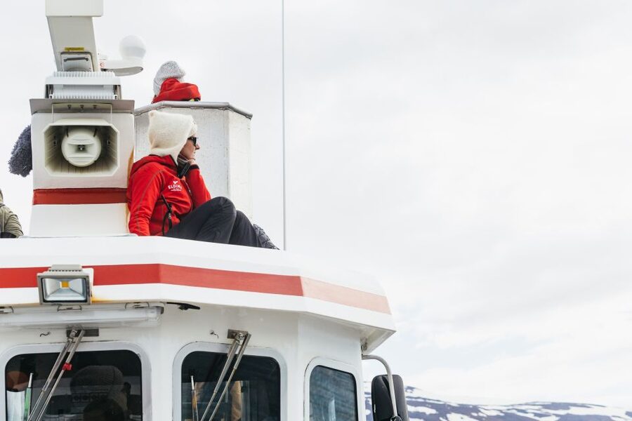 Akureyri: 3-Hour Classic Whale Watching Tour by Ship - How the timing affects the experience