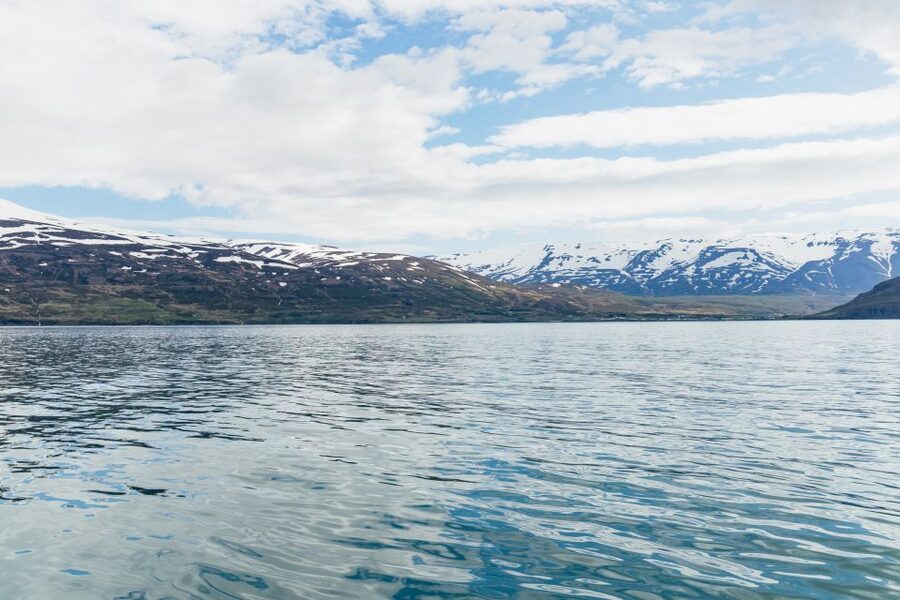 Akureyri: 3-Hour Classic Whale Watching Tour by Ship - Is $108 a fair price?