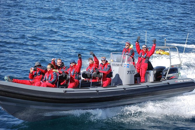 Akureyri Express Whale Watching by RIB boat - Who should book the RIB, and who should skip it