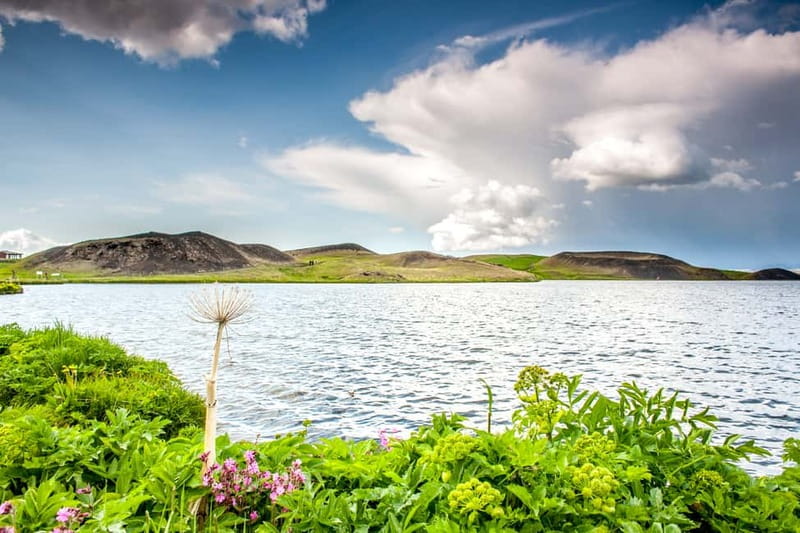Akureyri Port: Lake Mývatn & Goðafoss Guided Tour with Lunch - Goðafoss: a strong opening stop