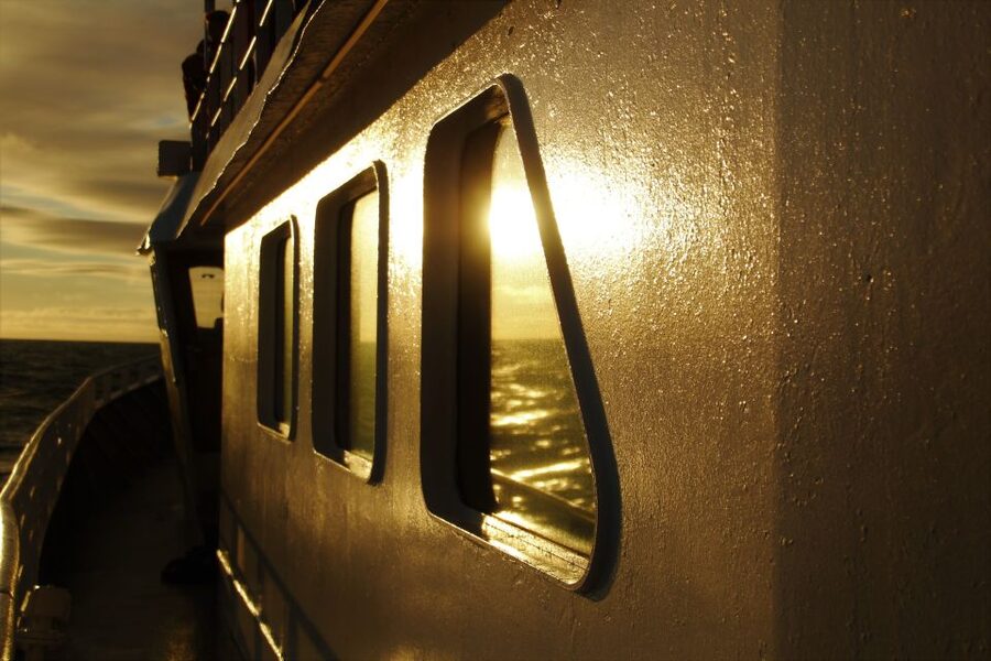 Akureyri: Whale Watching in the Midnight Sun - The boat, viewing areas, and comfort
