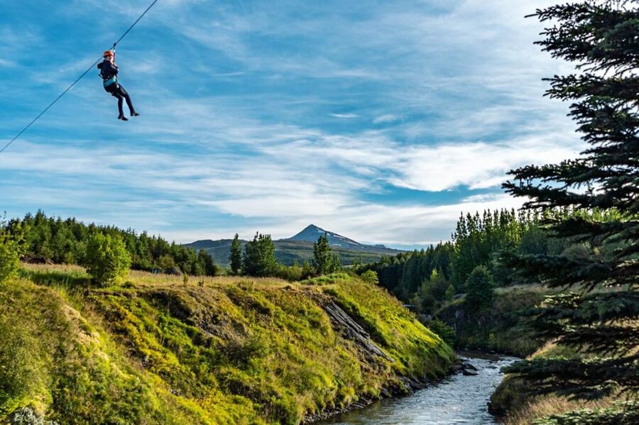 Akureyri: Zipline Tour - Who will enjoy this most?