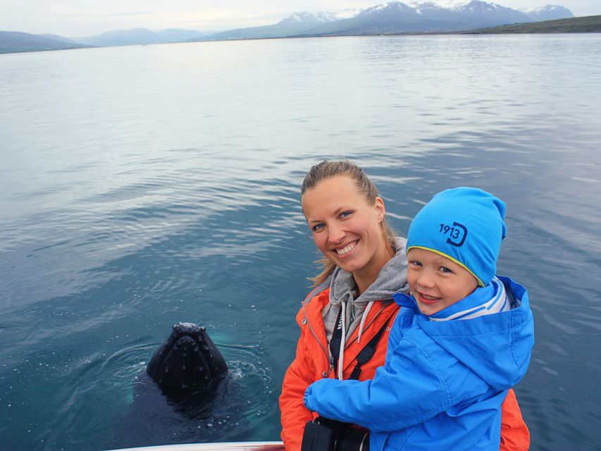 Árskógssandur: Whale-Watching Boat Trip - Key points to know before you book