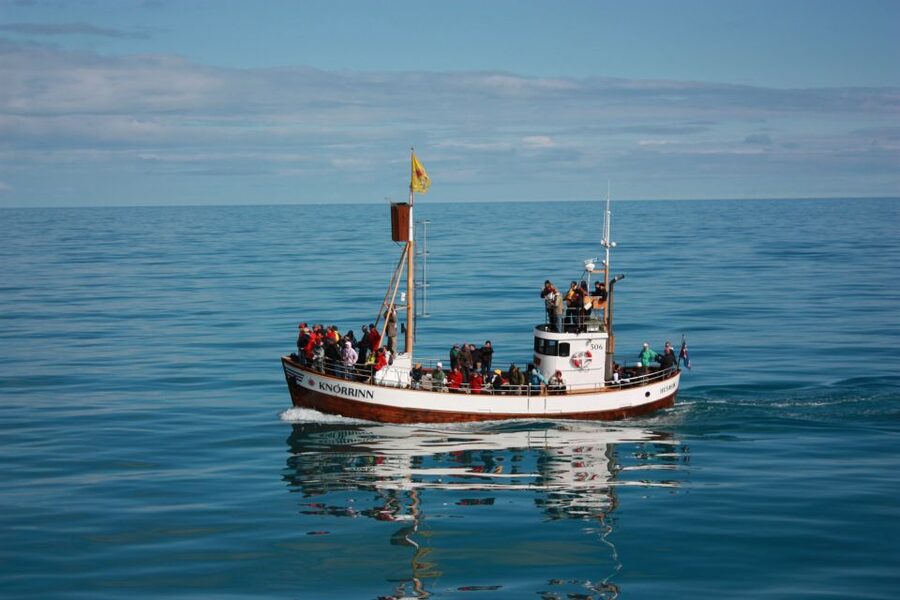 Árskógssandur: Whale-Watching Boat Trip - Who will enjoy this trip most?