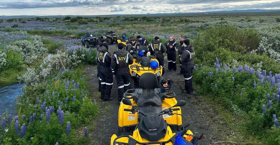 ATV guided trip close to dettifoss iceland - Seals, birds, and the river near the sea