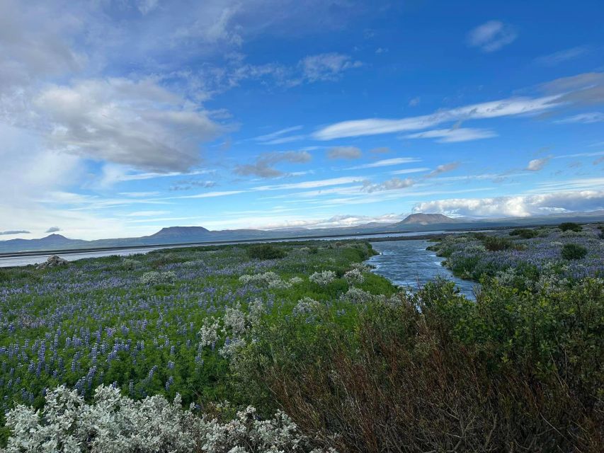 ATV guided trip close to dettifoss iceland - Should you book this ATV trip?