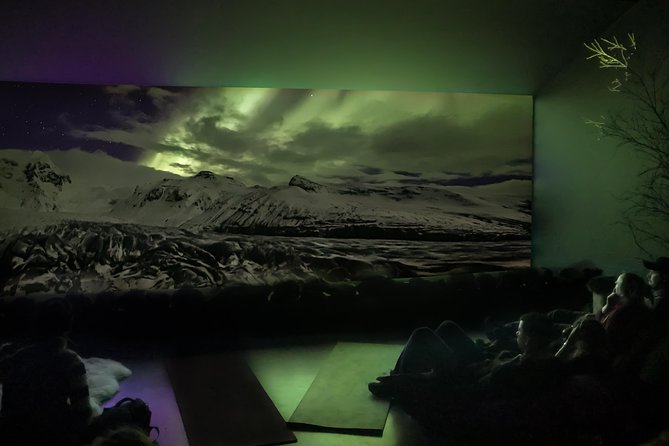 Aurora Reykjavík, The Northern Lights Center Museum Visit - Arctic stories before the science lesson