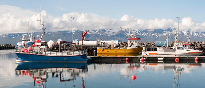 Big Whales & Puffins RIB boat tour from Húsavík - Why Húsavík is a strong place for whale watching