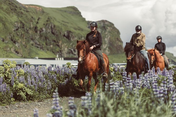 Black Sand Beach Horse Riding Tour from Vik - Why a black beach ride feels different in Vík