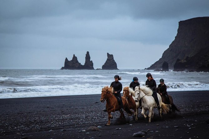 Black Sand Beach Horse Riding Tour from Vik - Meeting the horses at Vik Horse Adventure